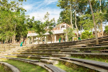 Ubud Bali 'deki Maymunlar