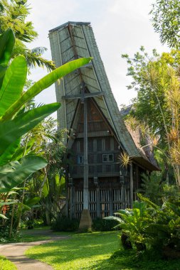 Bali kuş parkında turist