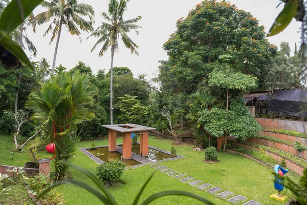 Botanical garden at Bali — Stock Photo, Image