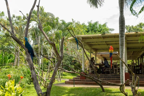 Parque de pássaros Bali em Sanur — Fotografia de Stock