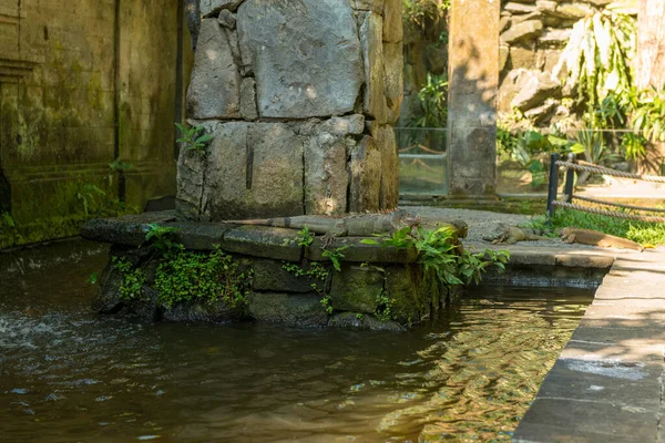 Reptiles in Bali Bird Park — Stock Photo, Image