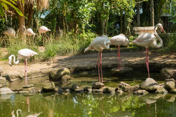 Bali bird park in Sanur