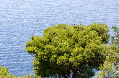 Adriyatik deniz manzarası