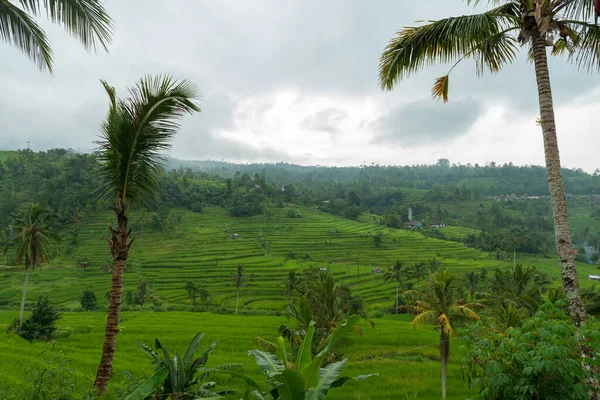 Vista de Jatiluwih — Foto de Stock