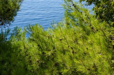 Adriyatik deniz manzarası