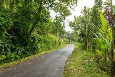 Jatiluwih Görünümü