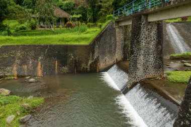 Jatiluwih Görünümü