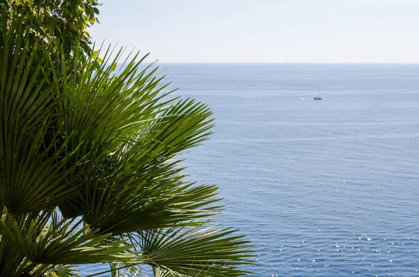 Widok na morze Adriatyku — Zdjęcie stockowe