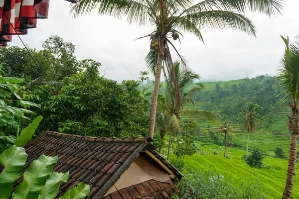 View of Jatiluwih — Stock Photo, Image