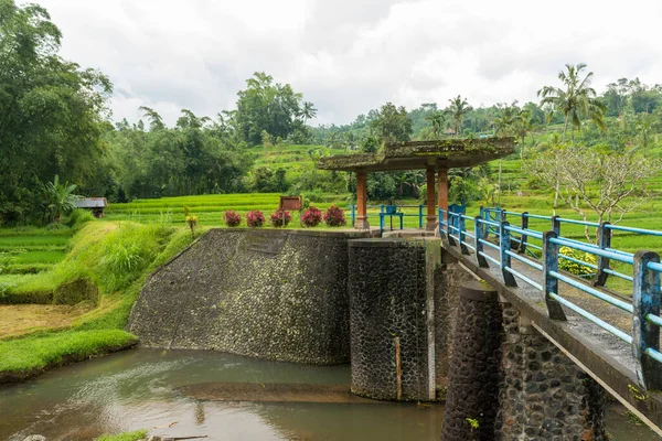 Barragem de água em arrozais — Fotografia de Stock