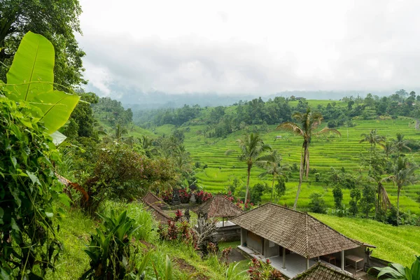 Vista de Jatiluwih — Foto de Stock