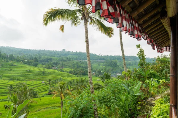 Almofadas de arroz em Bali — Fotografia de Stock