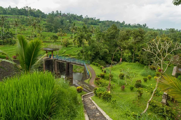 Vista de Jatiluwih — Fotografia de Stock