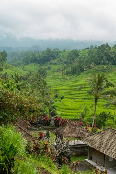 Vista de Jatiluwih — Fotografia de Stock