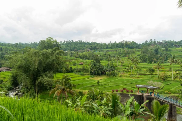 Vista de Jatiluwih — Foto de Stock