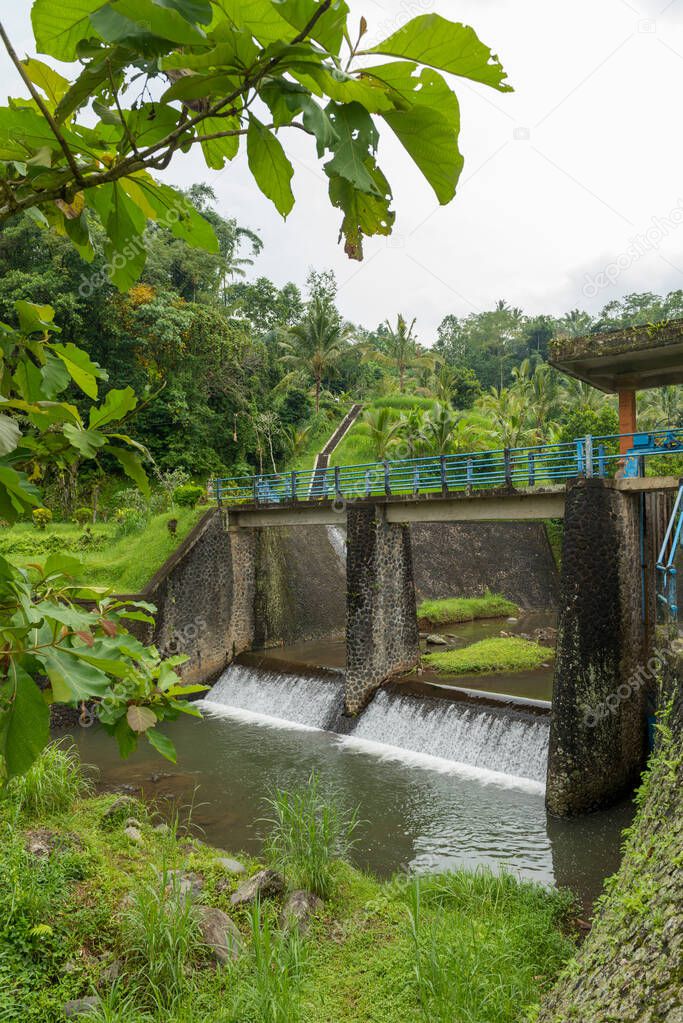 View of Jatiluwih