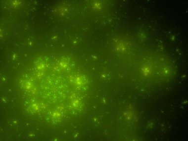 Hayali fraktal arkaplan resmi