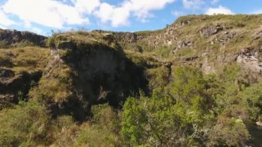 Tropikal yeşil orman ve bulutlu mavi gökyüzü, çevre florası, video