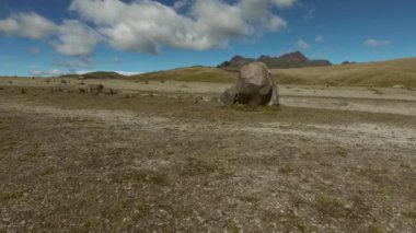 Yaz manzarasının insansız hava aracı videosu, yeşil çimenler 
