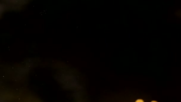 vue en bas, vidéo de Amazon Leaf Frog, Cruziohyla craspedopus sur fond noir 