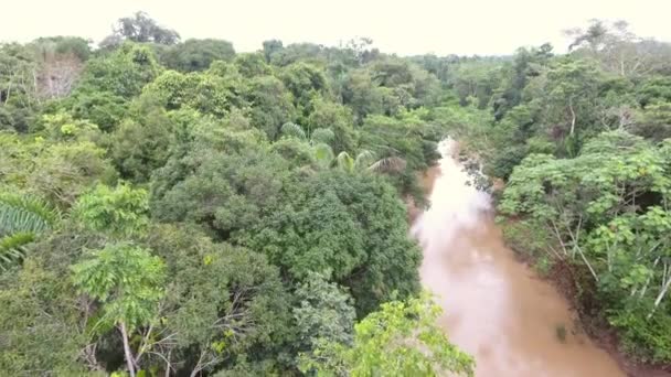 Luchtfoto Video Van Bos Landschap Met Bomen Tropisch Regenwoud Ecuadoriaans — Stockvideo