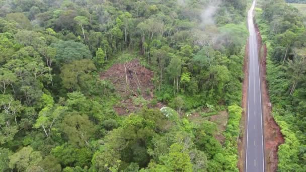 Video Flygfoto Motorvägen Ecuador Regnskog Till Amazonas Bassäng — Stockvideo