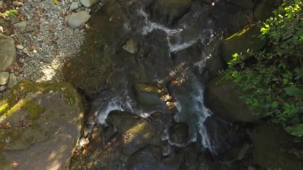 Zpomalené Video Toku Řeky Vodní Pára Divoké Přírodě — Stock video