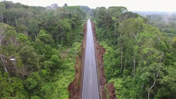 Video Flygfoto Motorvägen Ecuador Regnskog Med Hydda Hus — Stockvideo