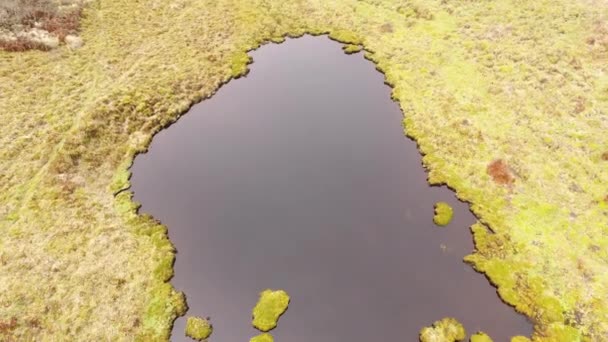 Flug Über See Und Grüne Graslandschaft — Stockvideo