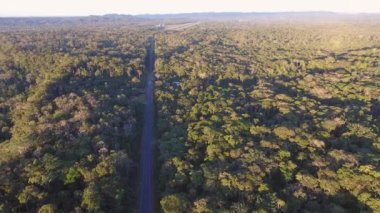 Video, Ekvador 'daki otoban manzarası, Amazon Havzası' na yağmur ormanı