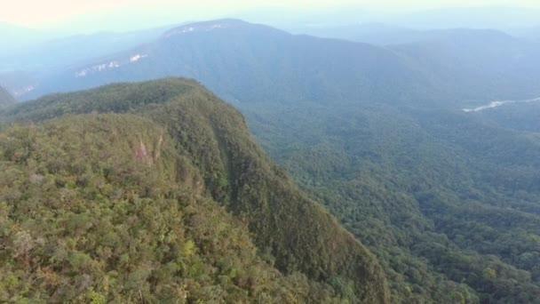 Безпілотне Відео Тропічний Лісовий Пейзаж Горами — стокове відео