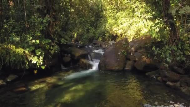 ralenti vidéo de l'écoulement de la rivière, vapeur d'eau dans la nature sauvage 