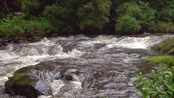 Video Rallentatore Del Flusso Acqua Del Fiume — Video Stock