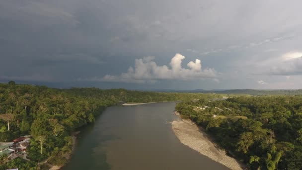 Nehir Akışıyla Yeşil Yaz Manzarası Üzerine Video — Stok video