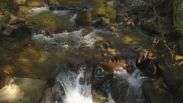 Zpomalené Video Toku Řeky Vodní Pára — Stock video