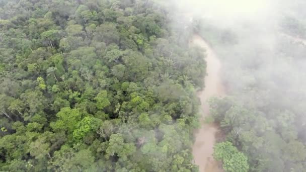 Luchtfoto Drone Video Van Rio Shiripuno Rivierstroming Tropisch Regenwoud Ecuadoraans — Stockvideo