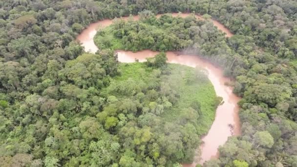 Luftbild Video Von Waldlandschaft Mit Bäumen Tropischem Regenwald Ecuadorianischen Amazonas — Stockvideo