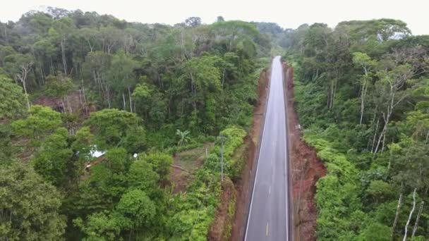 Video Vista Aérea Carretera Ecuador Selva Tropical Con Cabaña — Vídeos de Stock