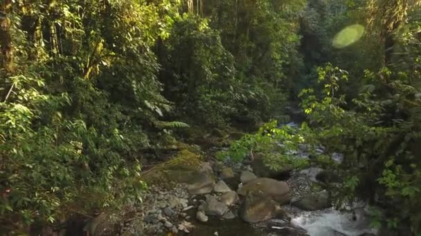 Vídeo Cámara Lenta Del Flujo Del Río Vapor Agua Naturaleza — Vídeos de Stock