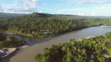 Video, ağaçlı hava manzarası, sahildeki köy evleri. 