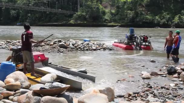 Vídeo Rio Florestal Com Pessoas Que Trabalham Busca — Vídeo de Stock