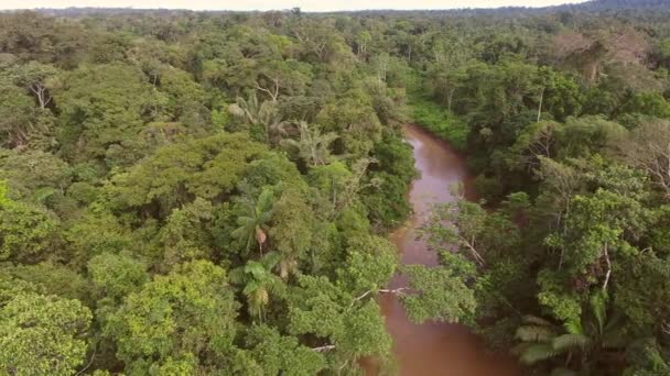 Video Rio Shiripuno Flusso Fluviale Foresta Pluviale Tropicale Amazzonia Ecuadoriana — Video Stock