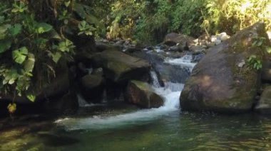 Nehir akışının yavaş çekim videosu, vahşi doğada su buharı. 