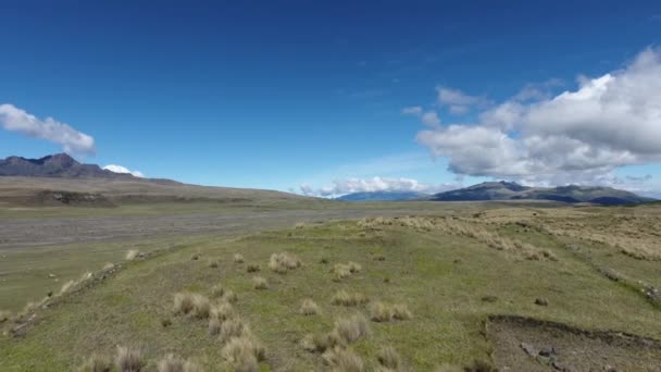 Drone Video Paisaje Verano Hierba Verde — Vídeos de Stock