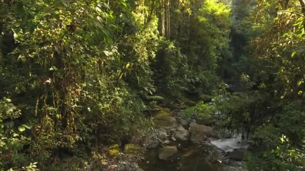 Vídeo Cámara Lenta Del Flujo Del Río Vapor Agua Naturaleza — Vídeos de Stock