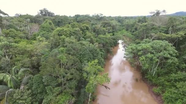 Luchtfoto Video Van Bos Landschap Met Bomen Tropisch Regenwoud Ecuadoriaans — Stockvideo