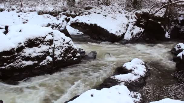 vidéo de paysage naturel enneigé en forêt avec rivière 