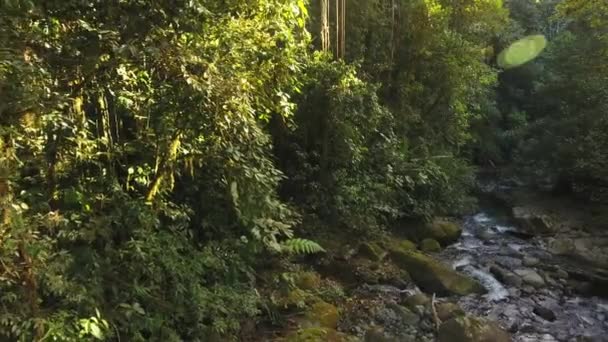 Vídeo Cámara Lenta Del Flujo Del Río Vapor Agua Naturaleza — Vídeos de Stock