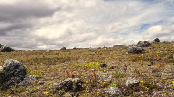 Lapso Tiempo Video Montañas Paisaje Verano — Vídeos de Stock