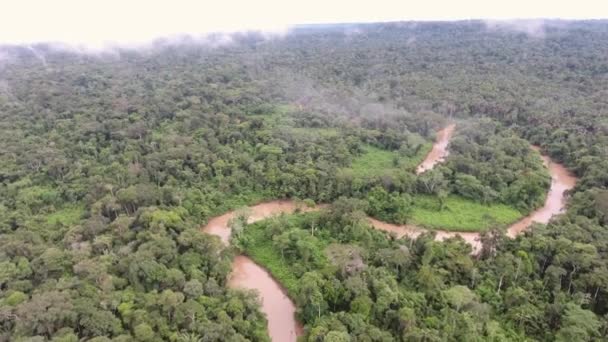 Flygfoto Video Skogslandskap Med Träd Tropisk Regnskog Ecuadorian Amazon — Stockvideo